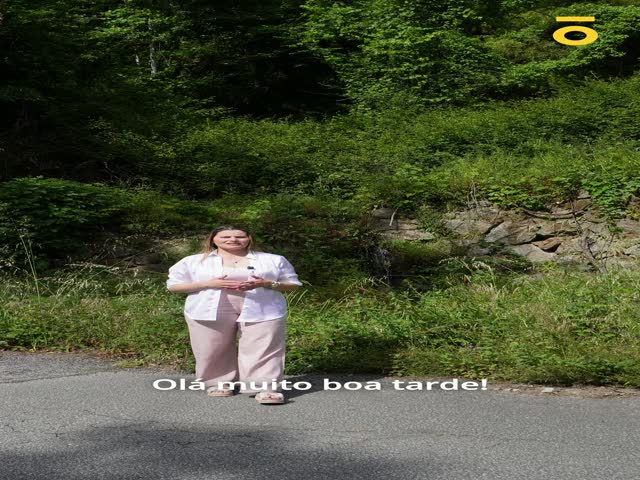 No Flash found